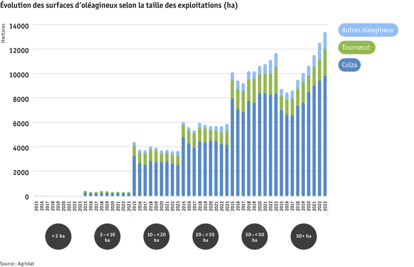 Zoom: ab24_datentabelle_grafik_flachenentwicklung_olsaaten_nach_betriebsgrosse_f.png