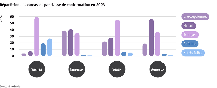 Zoom: ab24_datentabelle_grafik_politik_prod_viehwirtschaft_fleischigkeitsklasse_f.png