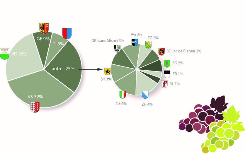 tableau_1_repartition_des_surfaces_viticoles_selon_les_cantons_f.jpg