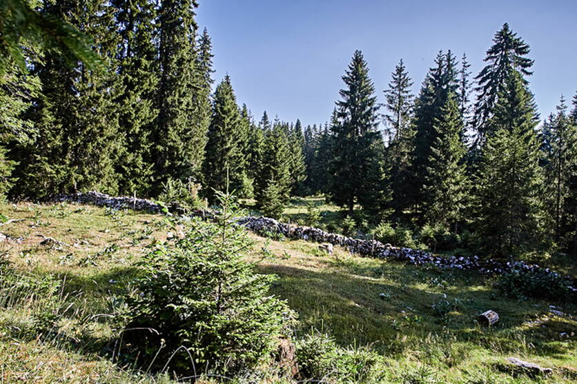 ab23_bild_landschaftsqualitatsbeitrage.jpg